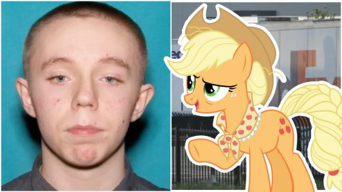 FedEx mass shooter was brony who hoped to see Applejack in the afterlife