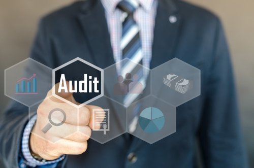 Who is Auditor, and what are their Roles, Powers and Duties?