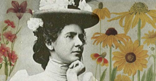 Rocky Mountain Flowers: The Daring Life and Art of Pioneering Plant Ecologist Edith Clements