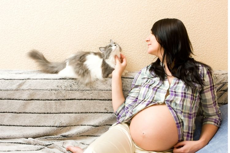 15 Signs Your Cat Sees You as a Parent Owners Should Know