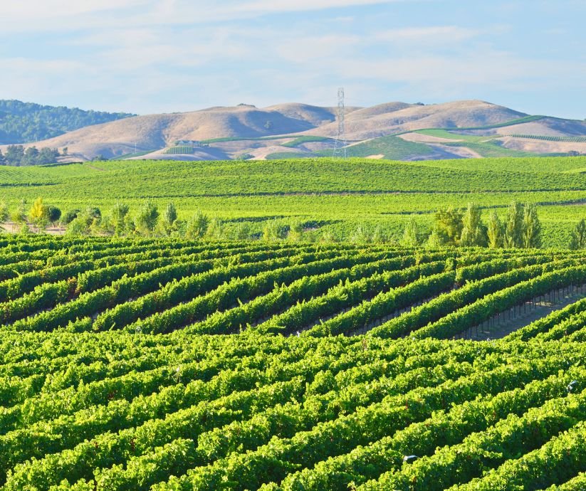 5 Most Beautiful Towns in Napa Valley - Things To Do, Tours & Stays – Travel With Me 24 X 7