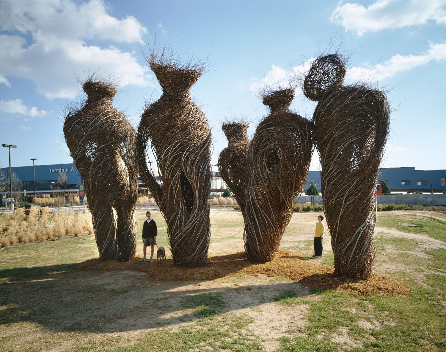 Patrick Dougherty’s Poetic and Beautiful Woven Sculptures