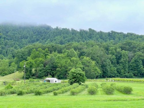 10 Wineries in Charlottesville Virginia Not to Miss