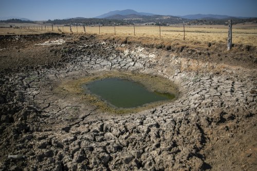 California ranchers intentionally violated an emergency water order. Now lawmakers want to triple the fines