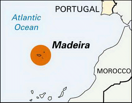 Madeira: A Wine Beyond Borders – A Tale of Islands, Innovation, and Centuries-Old Craftsmanship