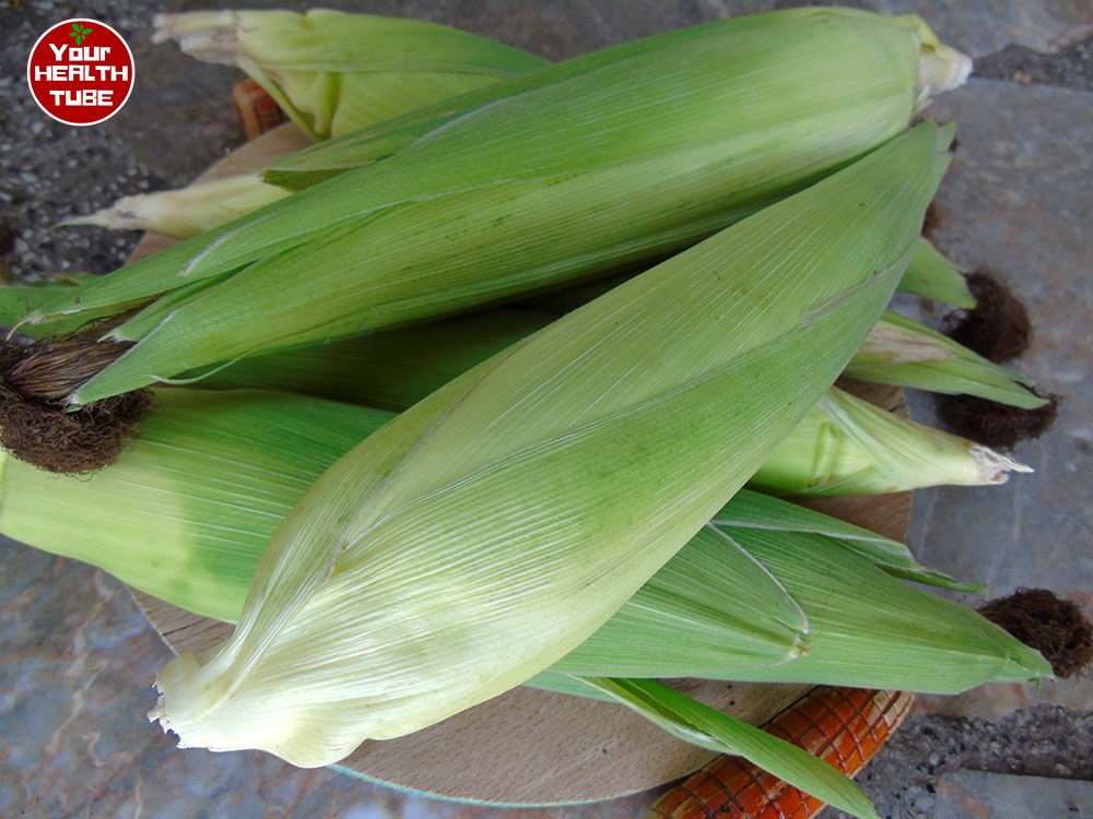 Health Benefits of Corn: Naturally Gluten-Free Food with Surprising Benefits