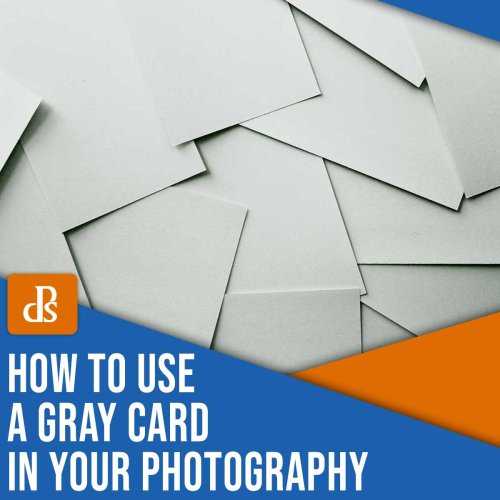 How to Use a Gray Card in Your Photography (Step By Step)