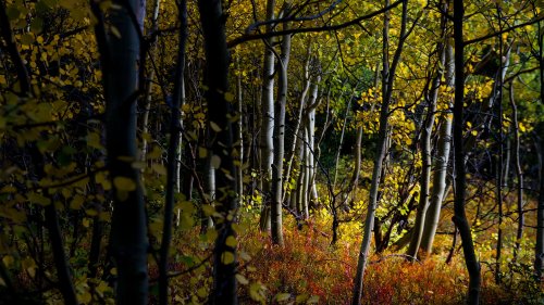 How to make the most of your fall photography adventure
