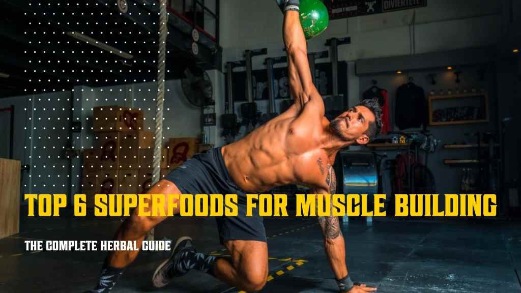 Top 6 Superfoods For Muscle Building