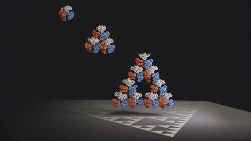 This naturally occurring molecule forms a fractal