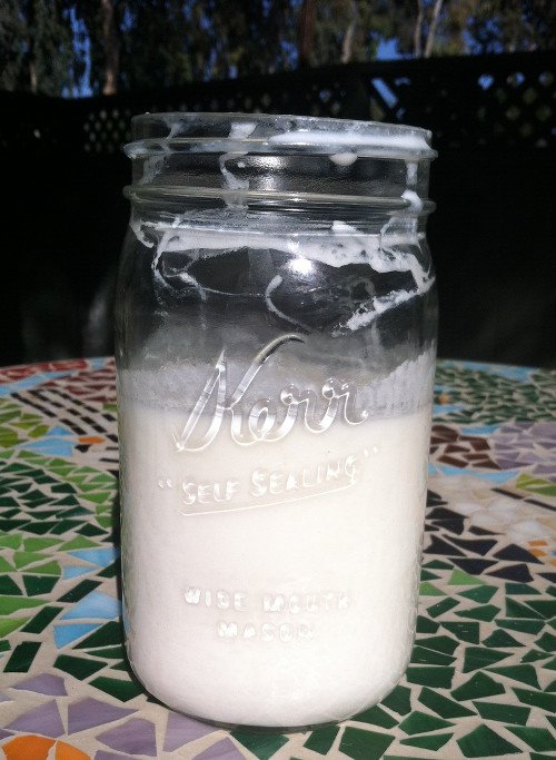 Three Easy 2-Ingredient Dairy Staples: Yogurt, Buttermilk and Ricotta - cover