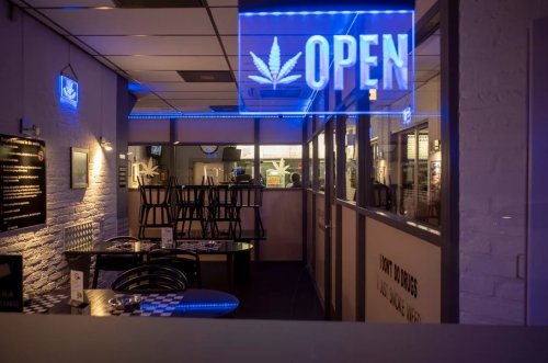 Cannabis : comment ne pas rater sa "légalisation encadrée"