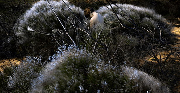 A Breathtaking Portrait of Women Amid a Primordial Landscape