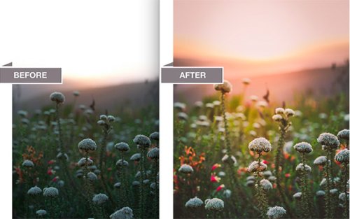 South African Wildflowers Come Alive in this Lightroom Tutorial (Sponsored)