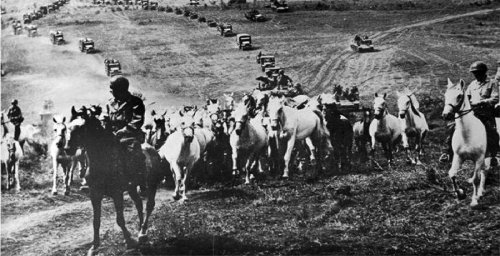 Operation Cowboy – How American GIs & German Soldiers Joined Forces to Save the Legendary Lipizzaner Horses in the Final Hours of WW2 - MilitaryHistoryNow.com