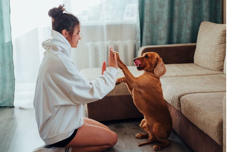 10 Worst Mistakes You Can Make with Your Dog