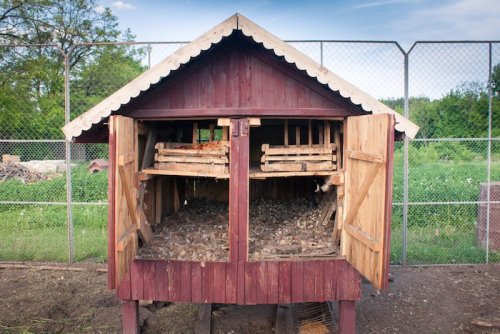 Why The Deep Litter Method Is Healthier For You And Your Flock