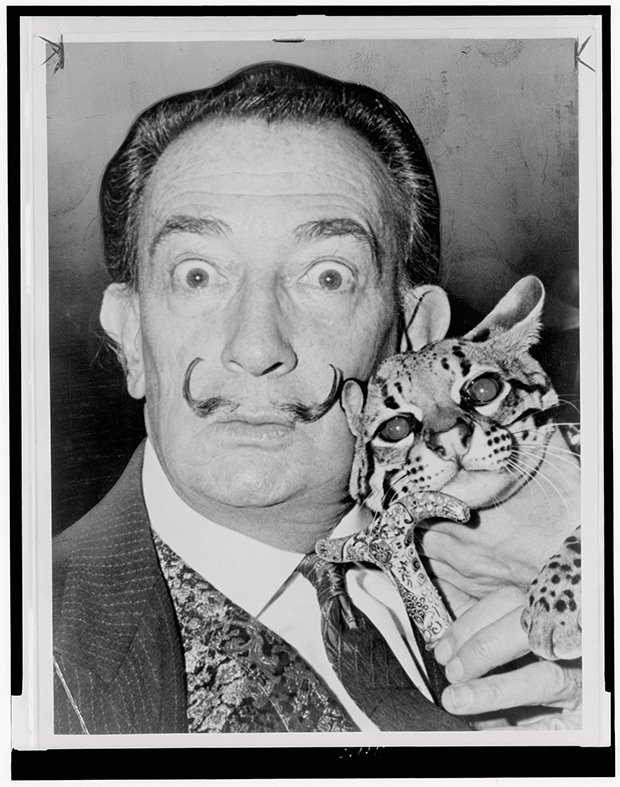 Historical Portraits of Artists With Their Cats