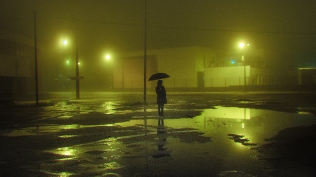 Cinematic film photography shows the beauty of misty nights