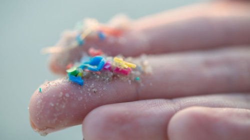 A new study has linked microplastics to heart attacks and strokes. Here’s what we know
