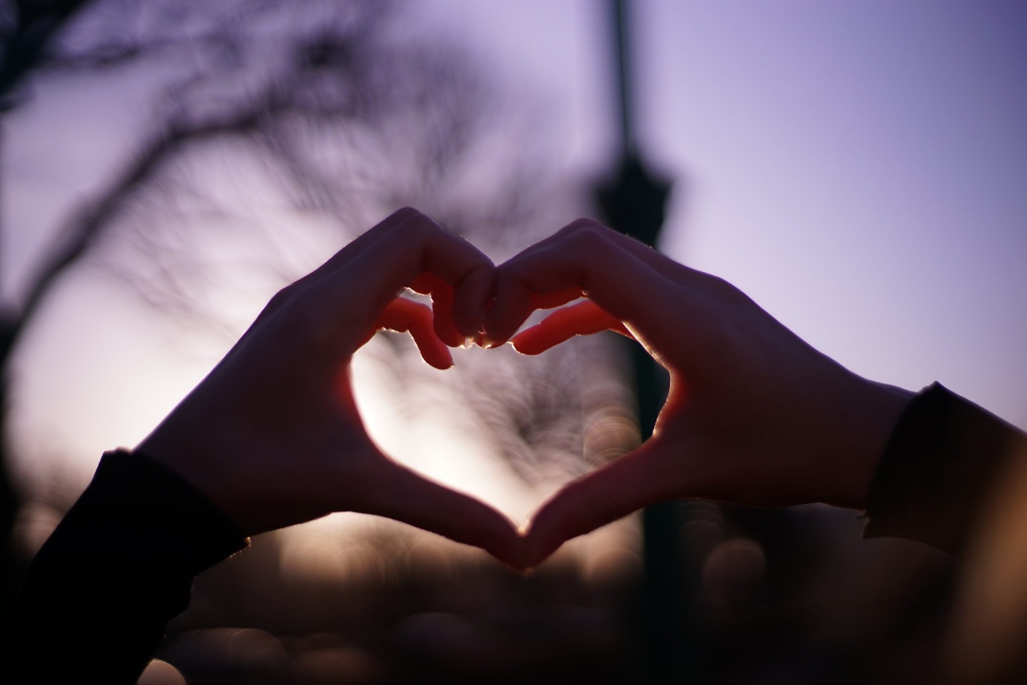 La hormona del amor puede tener la clave para curar corazones rotos: literalmente