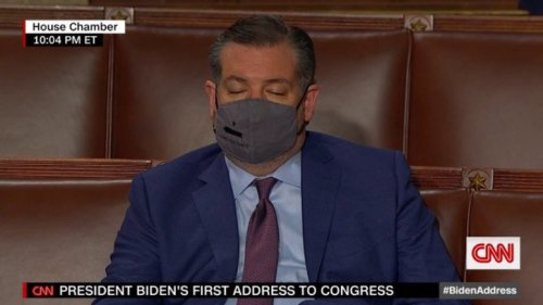 CNN catches Texas' Ted Cruz sleeping during Presidential address | Boing Boing