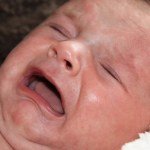 So krass reagieren Neugeborene auf Donald Trumps Reden