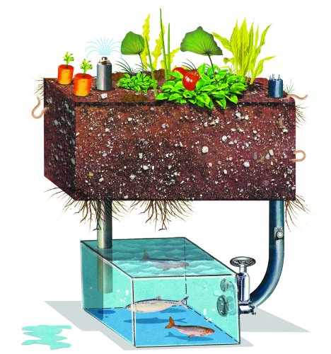 Build an Aquaponic Garden with Arduino — Gardening | Make: