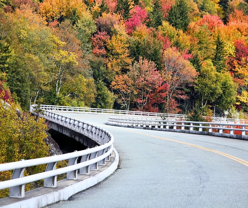 North Carolina & Tennessee Mountain Drives - cover