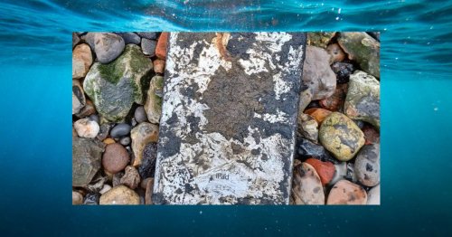 iPad was underwater for five years before it helped solve an attempted murder