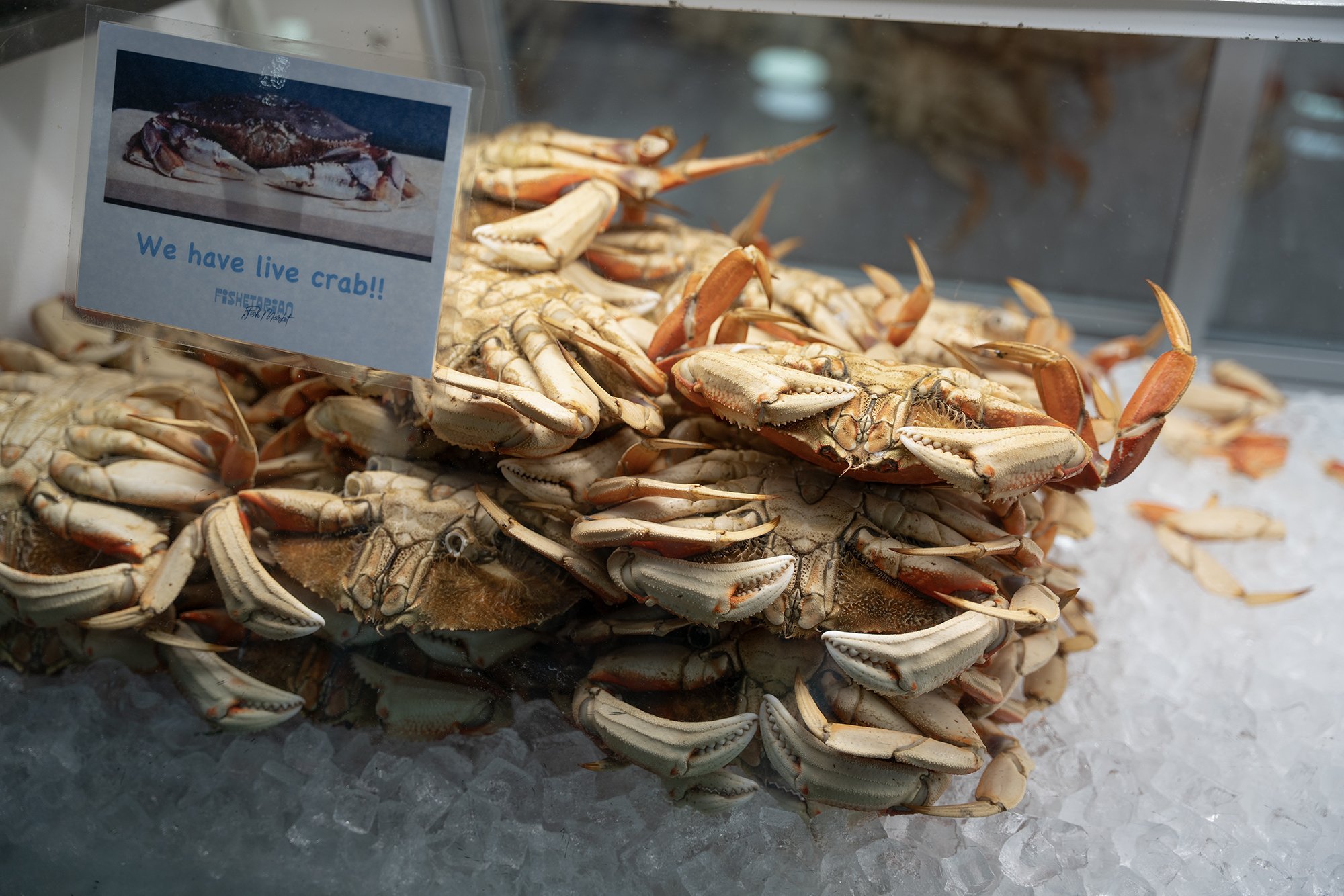 Bodega Bay isn’t what it used to be. How an ailing industry has transformed this fishing village