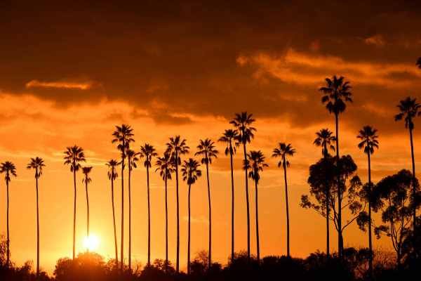59 Interesting Facts about California You Might Not Know