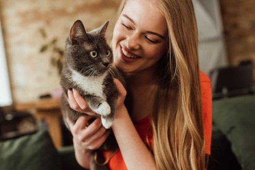 10 Signs Your Cat Sees You as a Protector