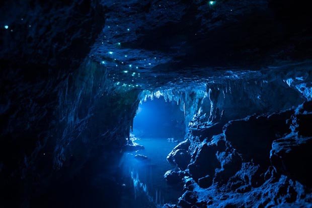 The Glow-Worms of New Zealand’s Limestone Caves Revealed in Magical Photo Series