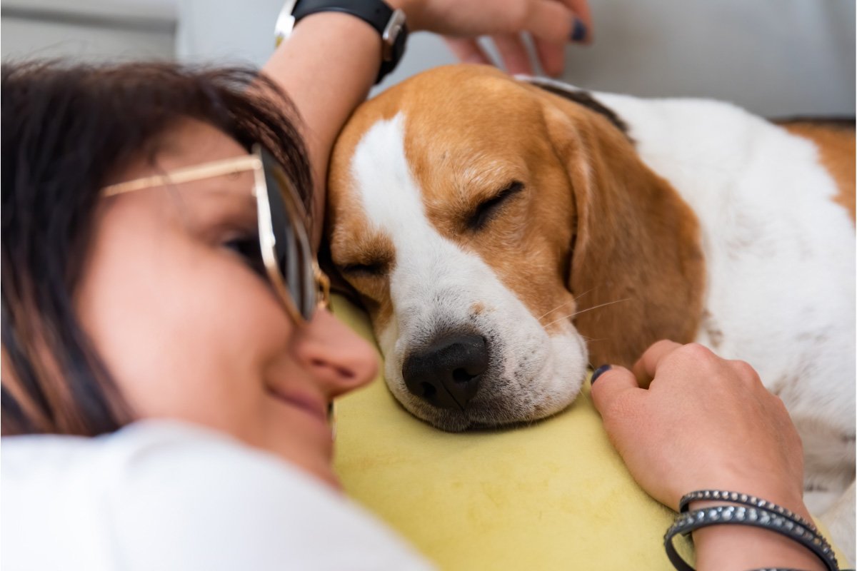 What Do Dogs Dream About When They Cry? (2023)