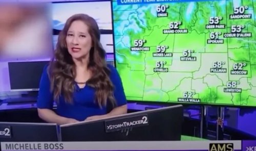 Washington TV weather report accidentally showed porn in the forecast | Boing Boing