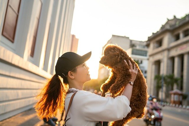 DOG WORLD