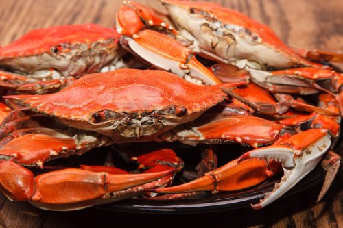 How the Welfare of Crabs is Completely Disregarded in the Food Industry