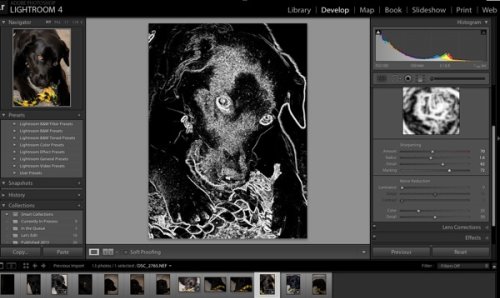 Learn How to Use the Sharpening Tools in Lightroom