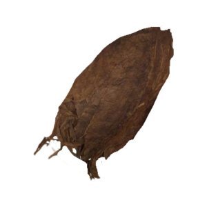 Cigars 101: The ABCs of Cigars