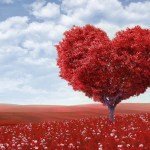 Sevgililer Günü’nü Kutlamak İsteyenlere Etkinlik Önerileri