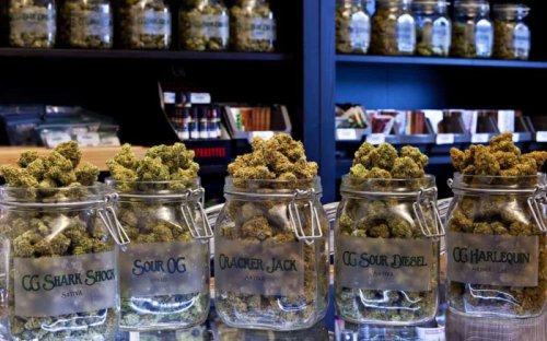Best Cities in the US For a Weed-Inspired Weekend of Cannabis