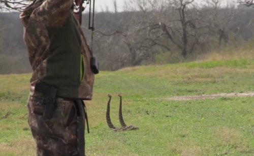 The bowhunter shot that has captivated the internet