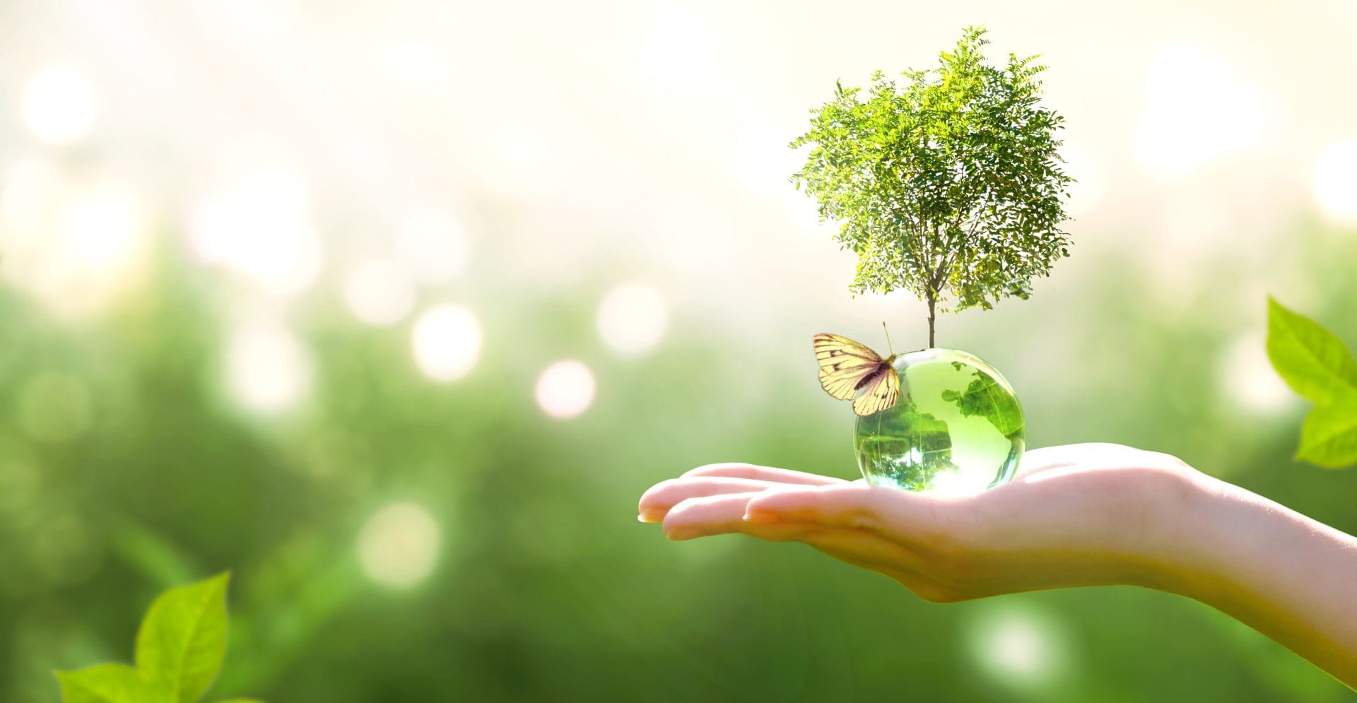 IEEE Sustainability and Climate Change cover image
