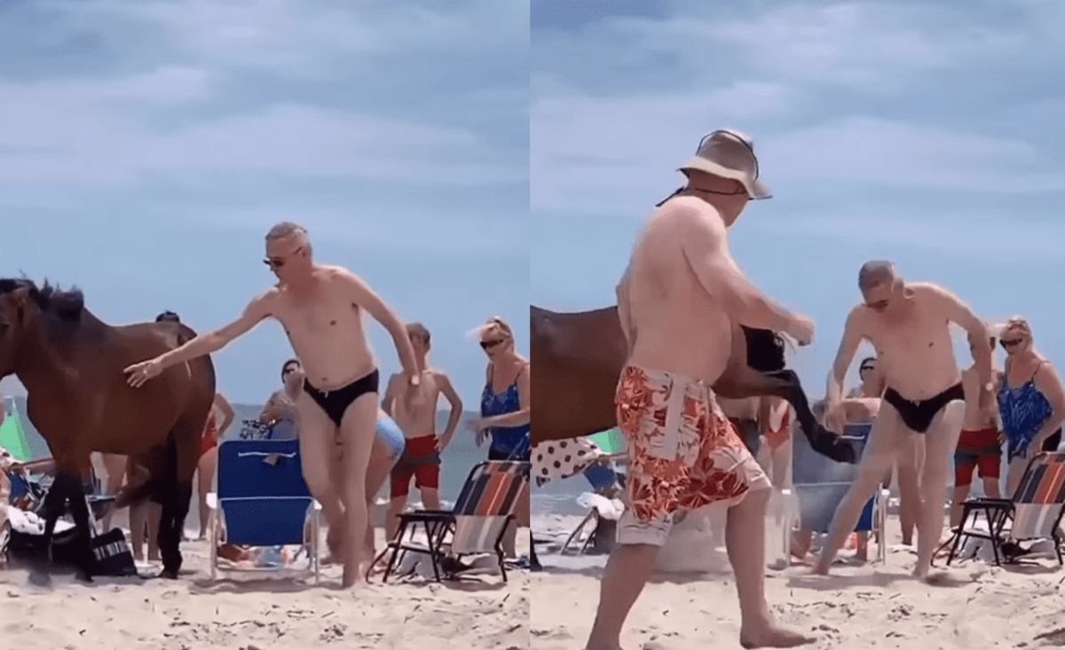 Dude In A Speedo Tries To Pet A Wild Horse At Assateague Island & Immediately Gets Kicked