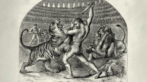 A lion’s bite marks a fatal fight with a possible Roman-era gladiator