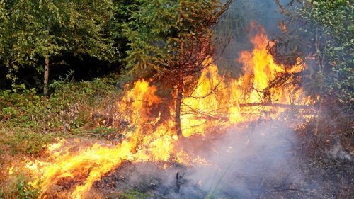 Rauch in Siegen: Waldbrand zwischen Dillenburg und Haiger