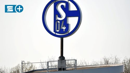 FC Schalke 04: Die Gründe für den tiefen Fall der Handballer