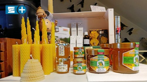 Heimischer Honig im HSK wird weniger – So reagieren Imker