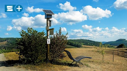 Festival Spiritueller Sommer holt das Paradies in die Region